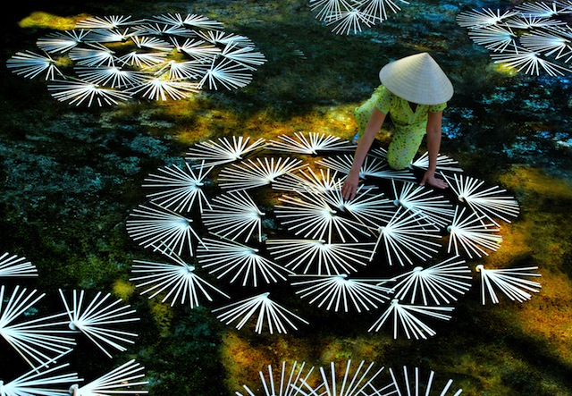 សកម្មភាពរំលឹកខួបអនុស្សារវរីយ៍នៃទិវាបេតិក្ខភ័ណ្ឌវៀតណាម (ថ្ងៃទី ២៣ វិច្ឆិកា)